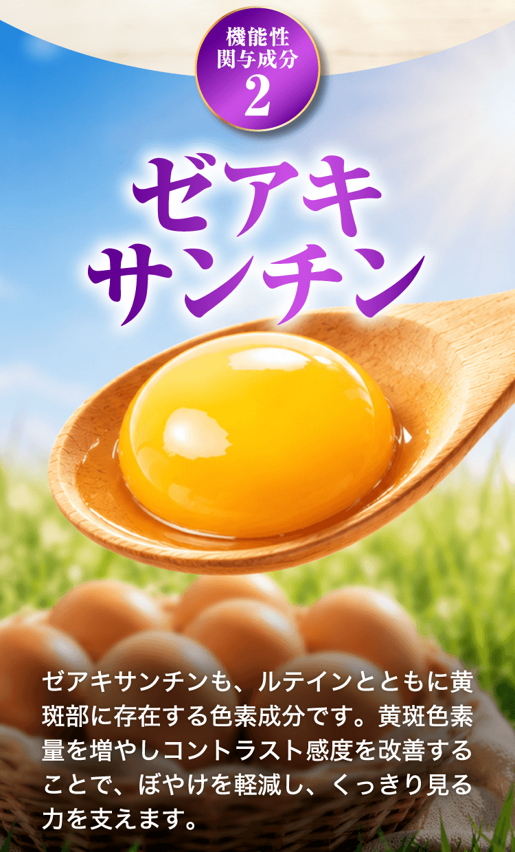 機能性関与成分2　ゼアキサンチン
