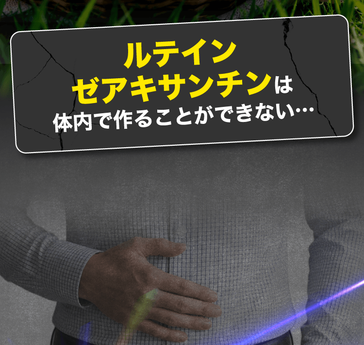 ルテインゼアキサンチンは体内で作ることができない…