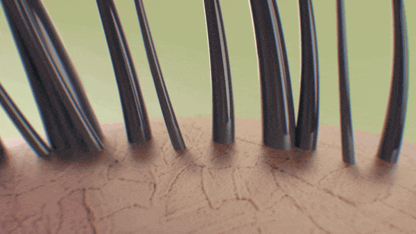 14種の美容成分をダイレクトに地肌へ浸透