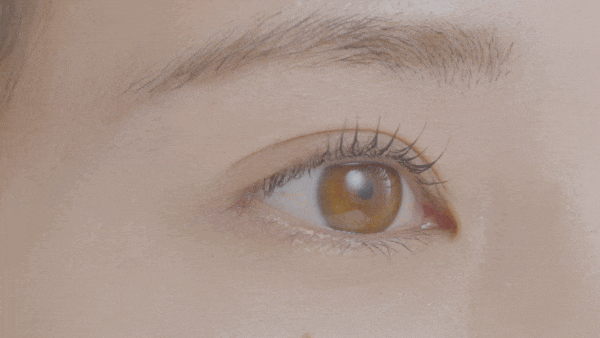 ホットビューラー